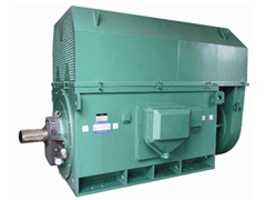 雁山Y系列6KV高压电机